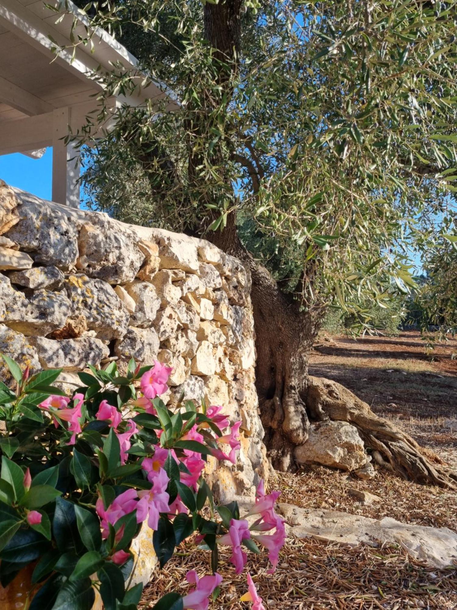 그로타글리에 Trulli Di Spinaruta B&B 외부 사진